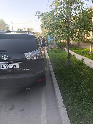 Lexus: Lexus RX: 2004 г., 3.3 л, Автомат, Газ, Кроссовер — 6