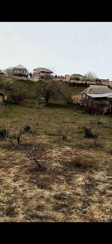 Torpaq sahələrinin satışı: 30 sot, Mülkiyyətçi, Kupça (Çıxarış) — 3