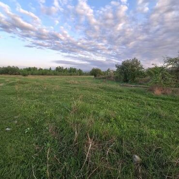 продаю участок арчалы: 15 соток, Курулуш, Кызыл китеп