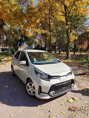 дверь на киа рио 3: Kia Picanto: 2019 г., 1 л, Автомат, Бензин, Хэтчбэк — 1