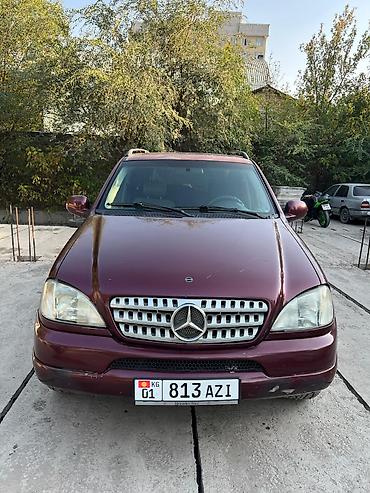 мв 100: Mercedes-Benz M-Class: 2000 г., 4.3 л, Автомат, Бензин, Кроссовер — 10
