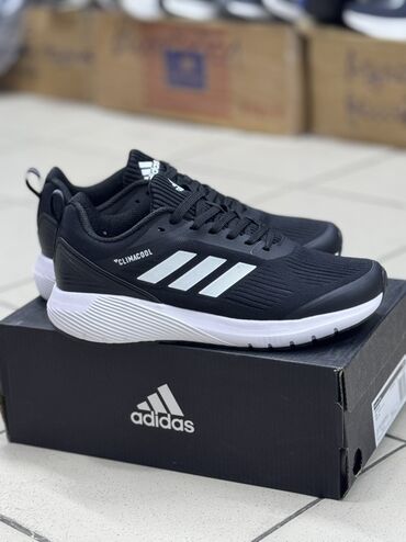 женские светящиеся кроссовки: Кроссовки Adidas Climacool в черном цвете с белыми полосками. Модель