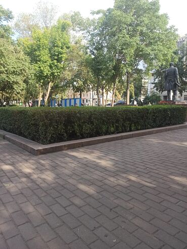 участок комсомолский: 4 соток