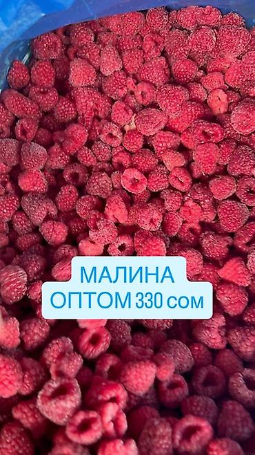 Жер-жемиштер: Малина Дүң — 1