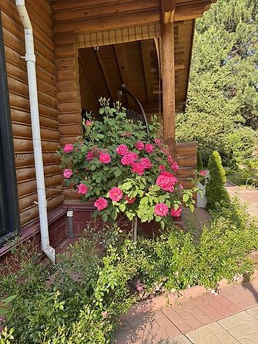 Аренда квартир на Иссык-Куле: Аренда квартиры на Иссык-Куле, Радуга, Сары-Ой, 4 места, Цена Целиком за жилье — 19
