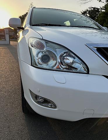 Lexus: Lexus RX: 3.5 l | 2008 il Krossover — 7