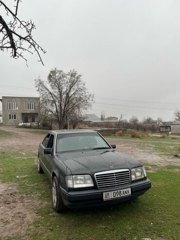 Mercedes-Benz: Mercedes-Benz W124: 1994 г., 2.5 л, Механика, Дизель, Седан