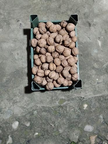 сварочный аппарат в баку: Məhsul: Qabıqda qoz ləpəsi Təsvir: - Tam qabıqlı, təbii qozlar - Orta — 2