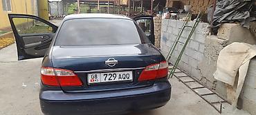 ray kia: Nissan Maxima: 2001 г., 2 л, Автомат, Бензин, Седан — 4