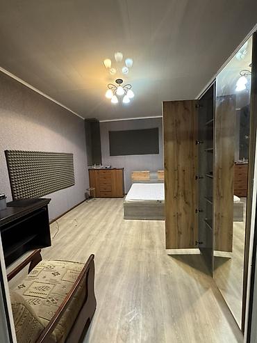 Үйлөрдү ижарага берүү: 45 м², 1 бөлмө, Бишкек Парк СБ, Жаныбарлары жок — 4