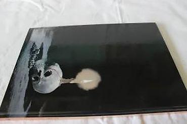 Knjige: PERLE 20, WEST 4, 46. DRŽAVA (HC), DARKWOOD | Lepo očuvan. Nečitan — 14