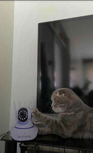 Videomüşahidə: 🔸Original HISEEPU brendi olan Wifi PTZ smart ip kamera 📽️KAMERANIN — 10