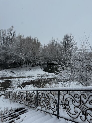 Продажа участков: 127 соток, Для строительства, Красная книга, Тех паспорт, Договор купли-продажи — 7