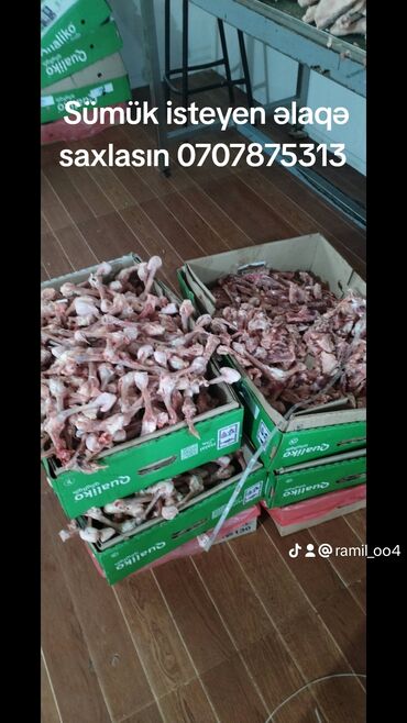 naxcivan heyvan bazari: Toyuq sumuklerinin satisi unvan mehemedi isteyen elaqe saxlasin