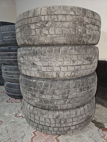 покрышки 14 зима: Шиналар 185 / 60 / R 15, Кыш, Комплект, Жеңил унаалар, Dunlop