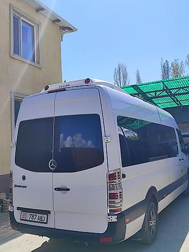 vip bus: Mercedes-Benz Спринтер: 2012 г. — 6