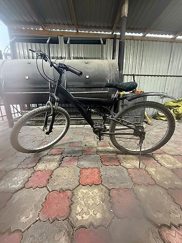 спортивный тренажёр: Горный велосипед, Рама L (172 - 185 см), Сталь, Б/у — 1
