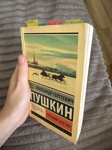 python книга: Классический роман "Евгений Онегин" Александра Пушкина. Книга с