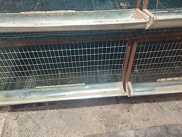 Товары и оборудование для с/х животных: Трëхярусная клетка для содержания перепёлок/цыплят - Конструкция — 3