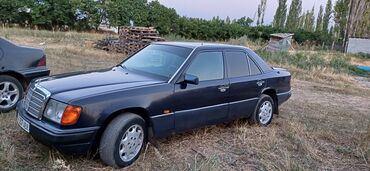 мерс 111: Mercedes-Benz 300: 1991 г., 3 л, Автомат, Дизель, Седан