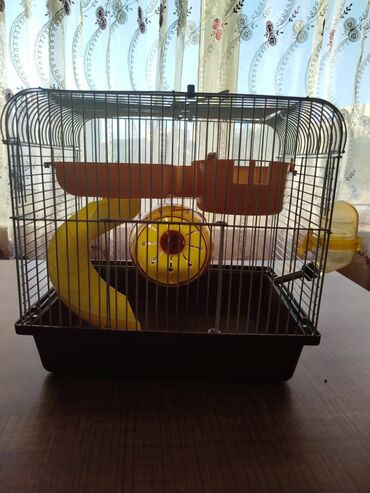 Xaltalar, qayışlar və tasmalar: Yaxşı vəziyyətdə hamster qəfəsi Təcili satılır demey olar ki istifadə