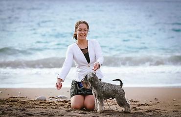 Psi: Patuljasti Snaucer Biber so boja 5 zenki 1 muzjak Stenad su iz — 9