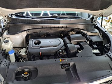 Kia: Kia Sorento: 2019 г., 2.4 л, Автомат, Бензин, Седан — 7