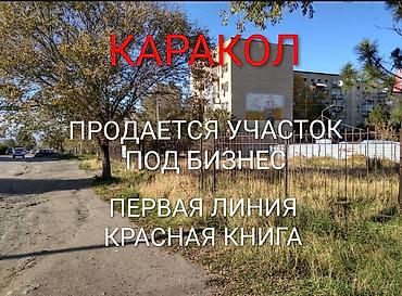 кызыл кия кыз: 4 соток, Бизнес үчүн, Кызыл китеп — 1