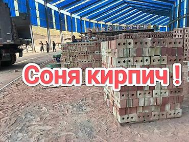 Тешиктүү, Бышкан кирпич, Бирдик, 250×120×65