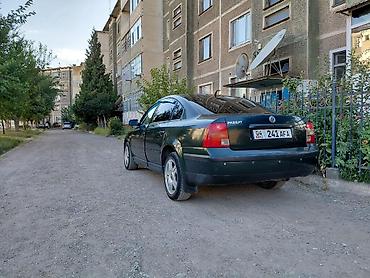 авто краска: Volkswagen Passat: 1998 г., 1.8 л, Механика, Седан — 6