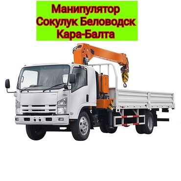 byd машина электромобиль: Манипулятор | Стрела 9 м. 3 т | Борт 7 кг