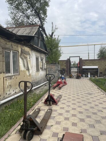 runx alex: Продаю рохли на выбор 16 штук