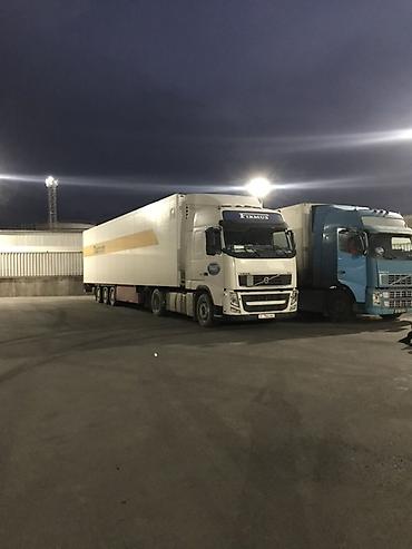 солнцезащитная: Тягач Volvo FH 440 с рефрижераторным полуприцепом - Марка и модель — 4
