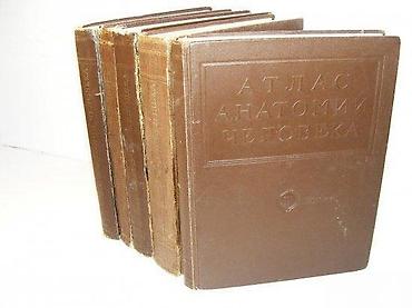 lepe devojke: Anatomski atlas čoveka u 5 tomova Sinelnikov, VorobievAtlas anatomije — 1