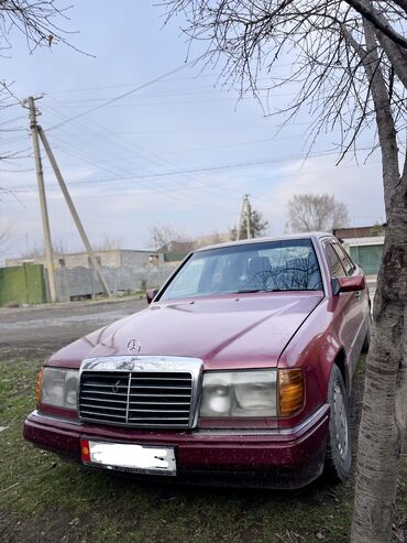 мерс валчок: Mercedes-Benz W124: 1992 г., 2.3 л, Автомат, Бензин, Седан