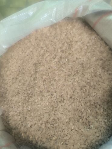 Крупы, мука, сахар: Продаю Джалал- Абадский рис "Аланга"
Килограмм - 130 сом
 адрес: г. Ош