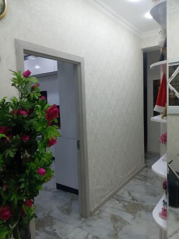 bina az biləcəri: 4 otaqlı, Yeni tikili, 123 kv. m — 1
