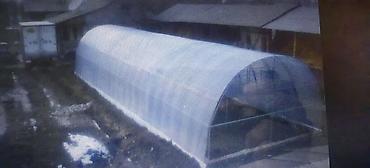 Теплицы: Теплица арочная промышленного типа - Каркас: металлический — 2