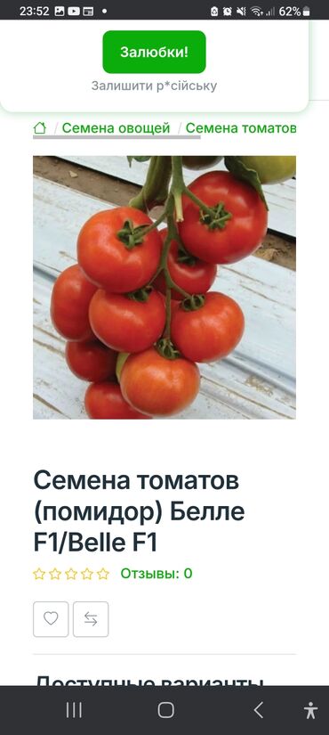 Toxumlar: Məhsul: Toxumlar – Rijk Zwaan və Enza Zaden hibridləri • Rijk Zwaan – — 4