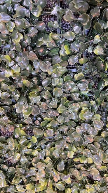 Süni güllər: Süni yaşıl divar paneli müxtəlif yaşıl yarpaqların və qırmızı — 27