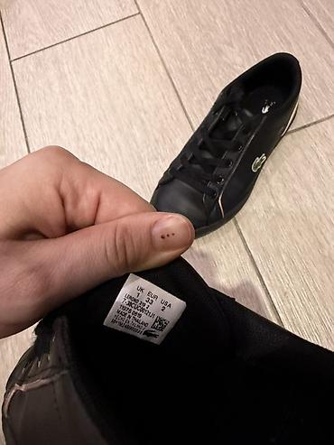 nike react: Кеды Lacoste Lerond младшая линейка - Модель: Lacoste Lerond (код на — 2