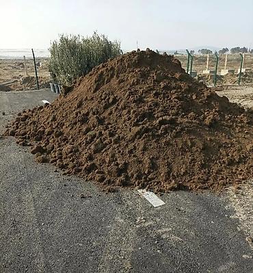təbii bal satışı: Qara torpaq İsmayıllı, Şamaxı, Mərəzə rayonları ərazisindən istəyə — 6