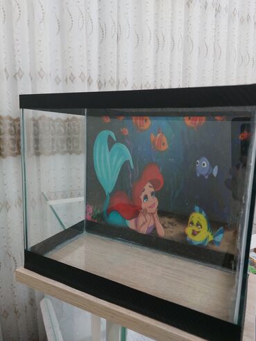 Akvariumlar: Məhsul: Dekorativ şüşə akvariumlar (uşaq tematikası) Təsvir: - — 9
