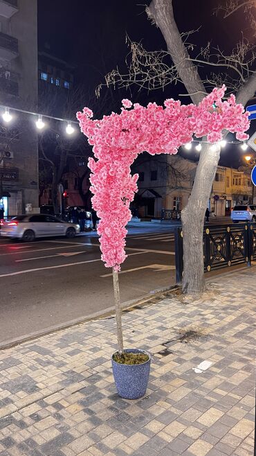 Ağaclar: Depodan bir basa satis 70azn baslayan dekarativ suni agaclar topdan — 11