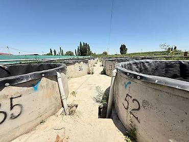 Продажа другой коммерческой недвижимости: 🐟 Продаётся действующее рыбное хозяйство с развитой инфраструктурой 📍 — 9