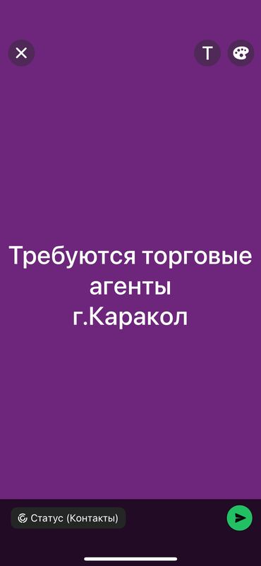 работа категория с: Торговый агент, До 1 года опыта, Без транспорта, Мужчина