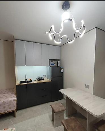 Долгосрочная аренда квартир: Студия, Без подселения, С мебелью полностью — 1