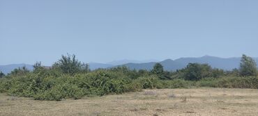 Torpaq sahələrinin satışı: 6 sot, Tikinti, Kupça (Çıxarış) -da lalafo.az — 14 Torpaq sahələrinin satışı: 6 sot, Tikinti, Kupça (Çıxarış) — 14