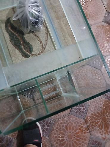 akvarium zavod istehsali: 140x40x40 10luq şüşədi çox təcili samp sistemli sapın iç ləvazimatları — 3