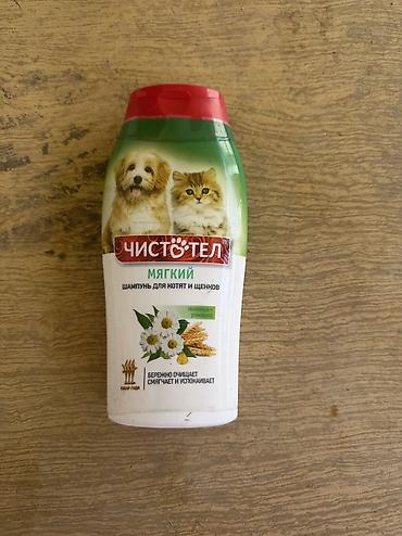 acana корм: Koker spaniyel, 2 il, Dişi, Ödənişli çatdırılma — 5